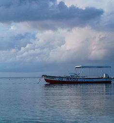 Nadi